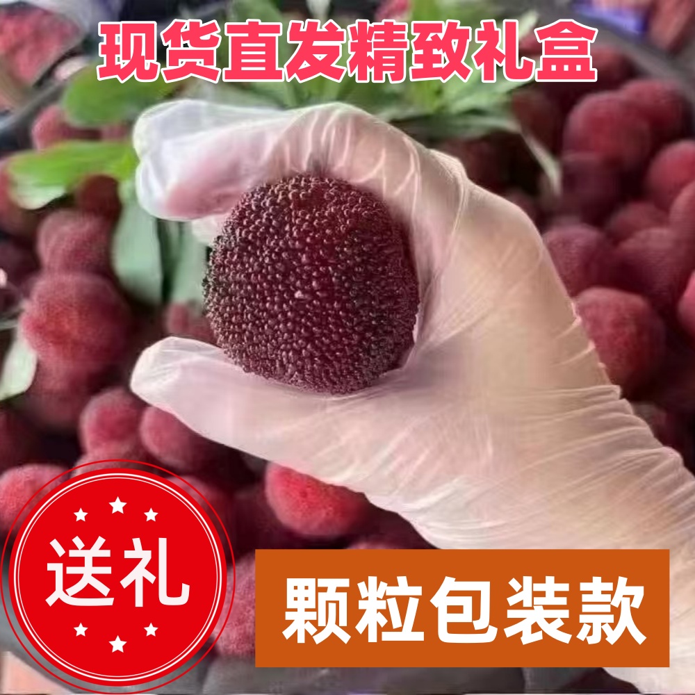 颗粒包装送人送礼正宗仙居东魁杨梅新鲜应季可口现摘