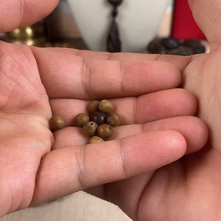 亚***瑟木一物一拍0.80.6共9颗