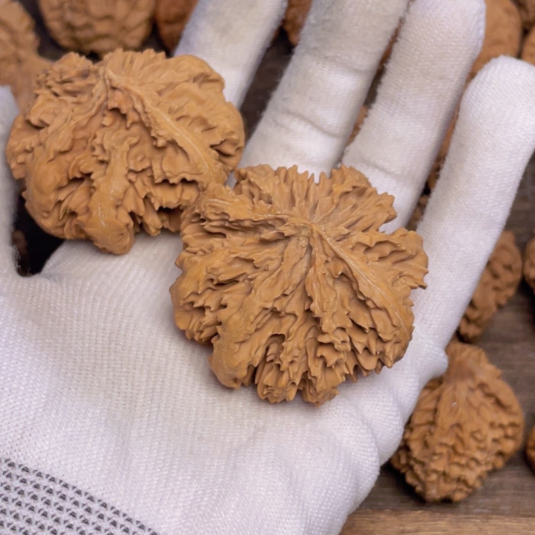 文玩核桃吊坠用****879 秦岭灯笼野生小众