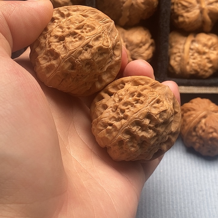 无花朵南瓜墩42哈哈哈哈