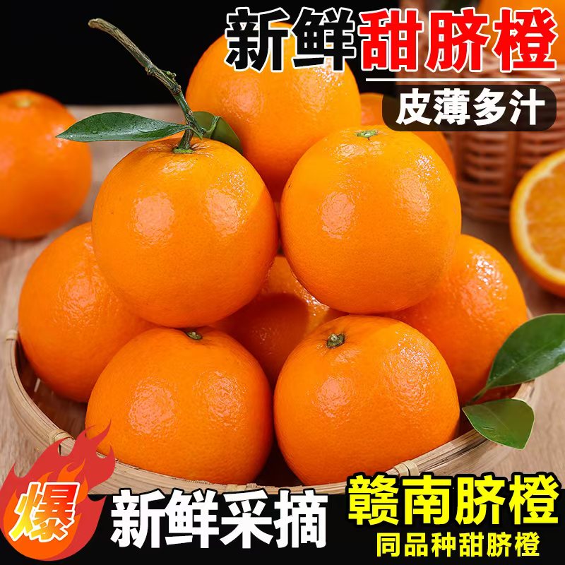 【正宗高山脐橙】赣南脐橙同品种皮薄肉厚果园直发新鲜多仓发货