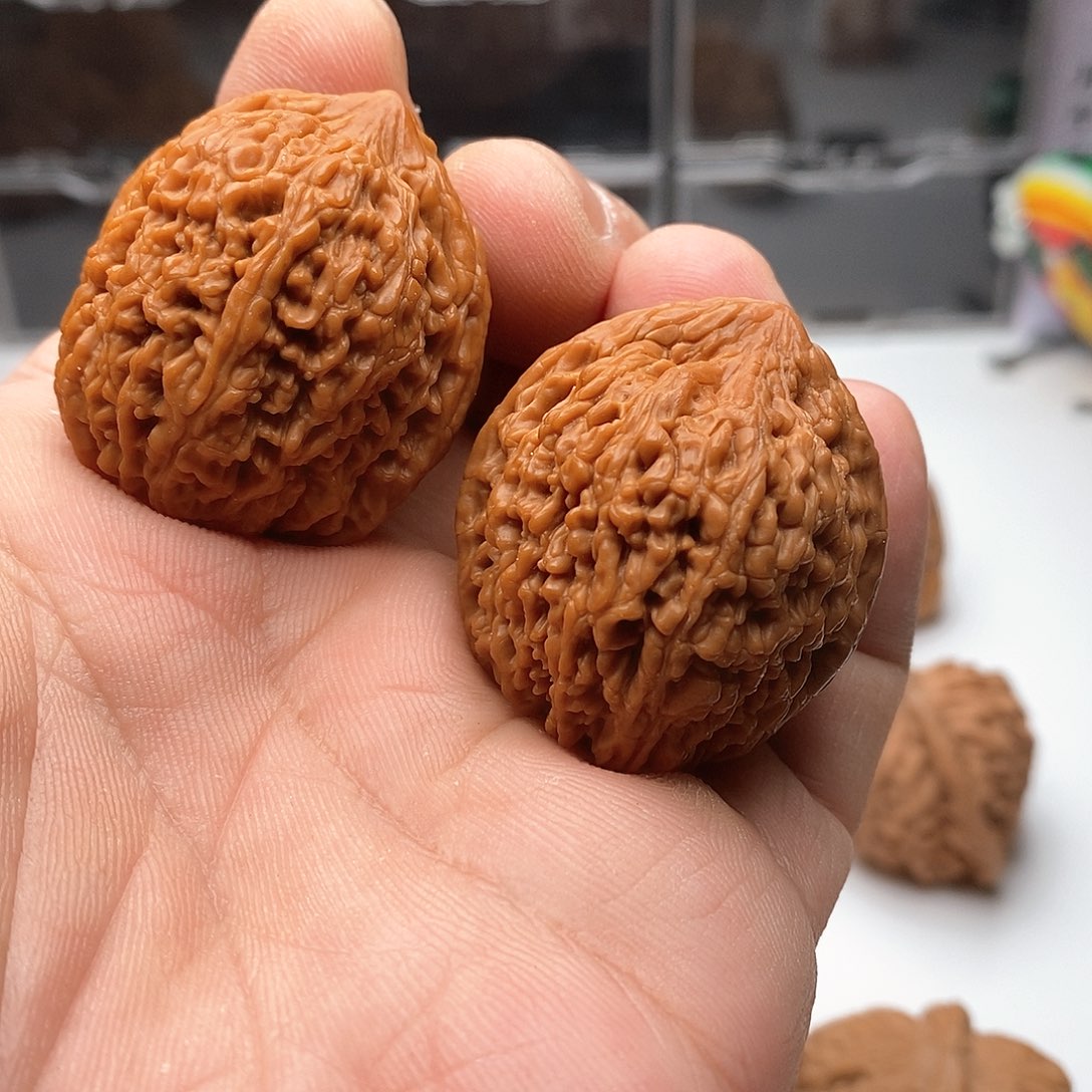 寒****34全品大蒜头8888888888