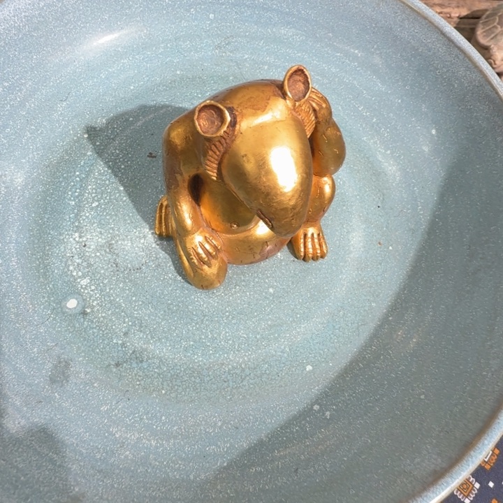 茶宠明*8888888888888888