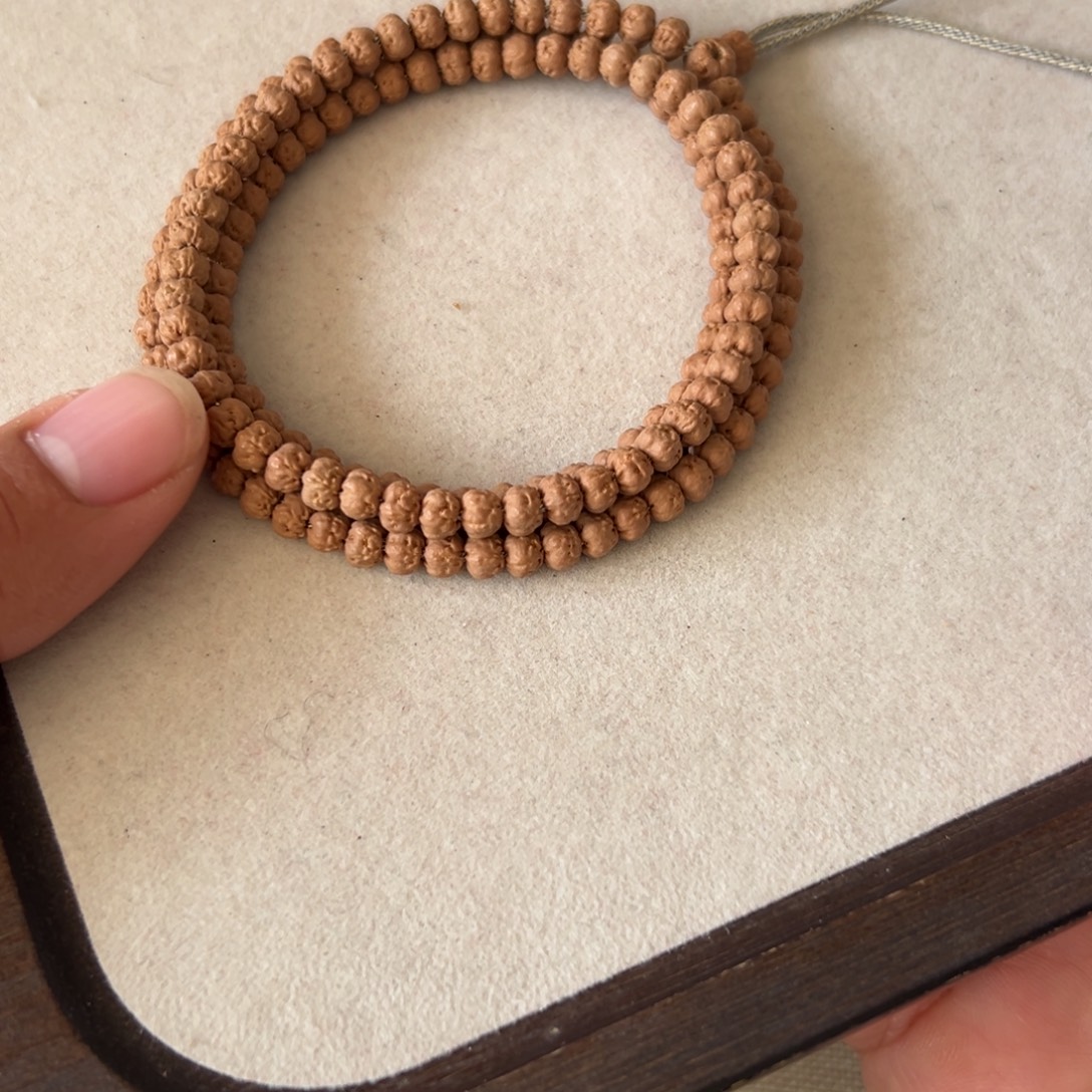 5.8五爪金龙原桩佛手