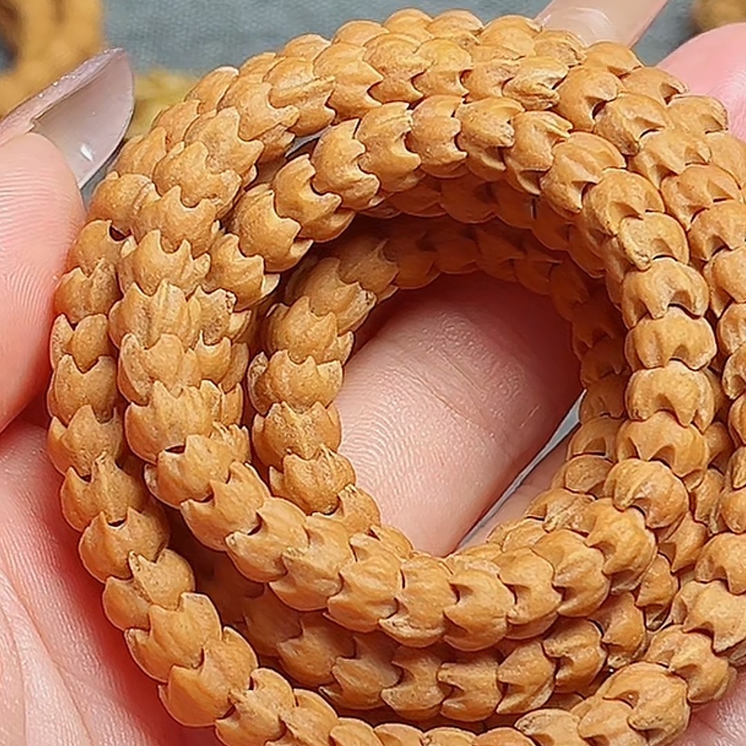 西藏热振寺龙爪莲花红皮铁籽百香籽超油红润