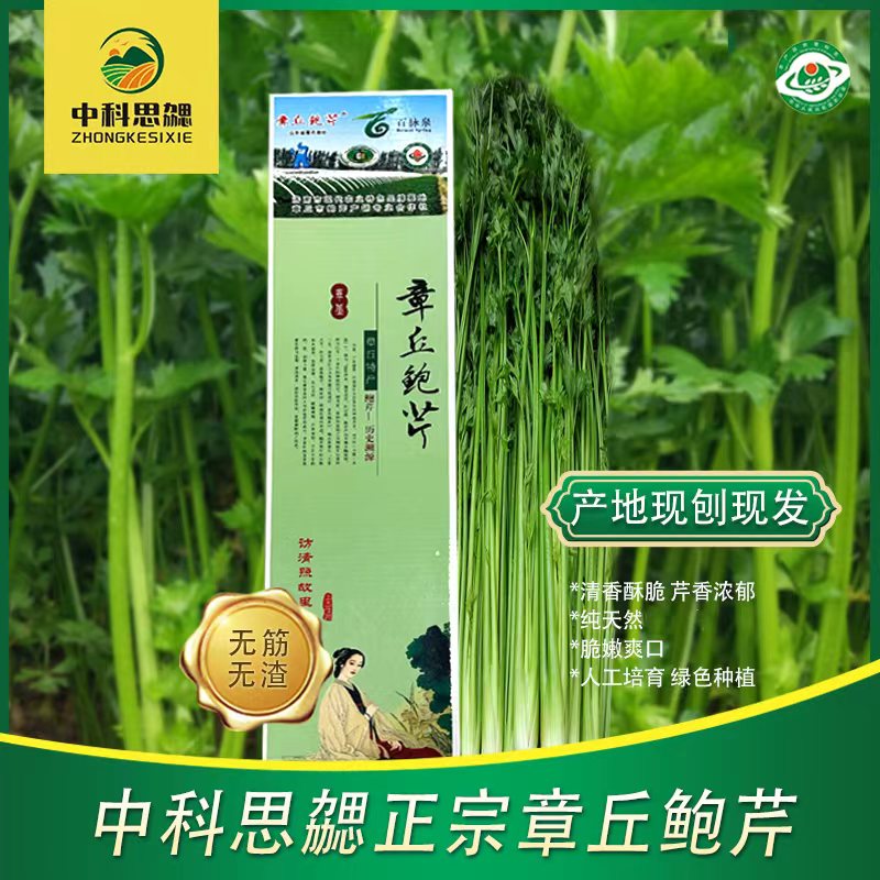 【银座优选】中科思勰鲍芹营养好吃清香酥脆健康脆嫩