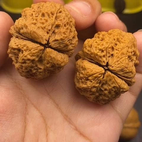 文玩核桃把件41尺饕餮