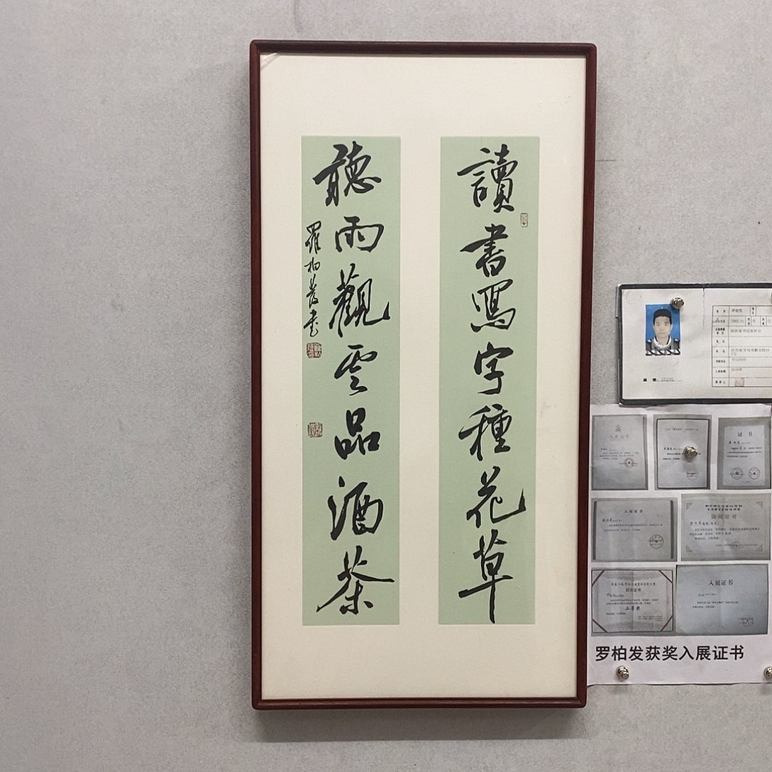 书法罗柏发书法读书