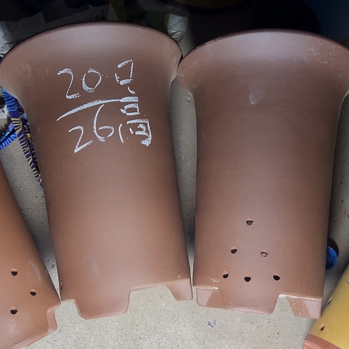 周深周深周深周深 