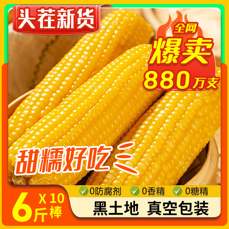 【试吃2根】5.5斤到6.5斤东北黄糯玉米真空包装黄苞米现摘新鲜甜
