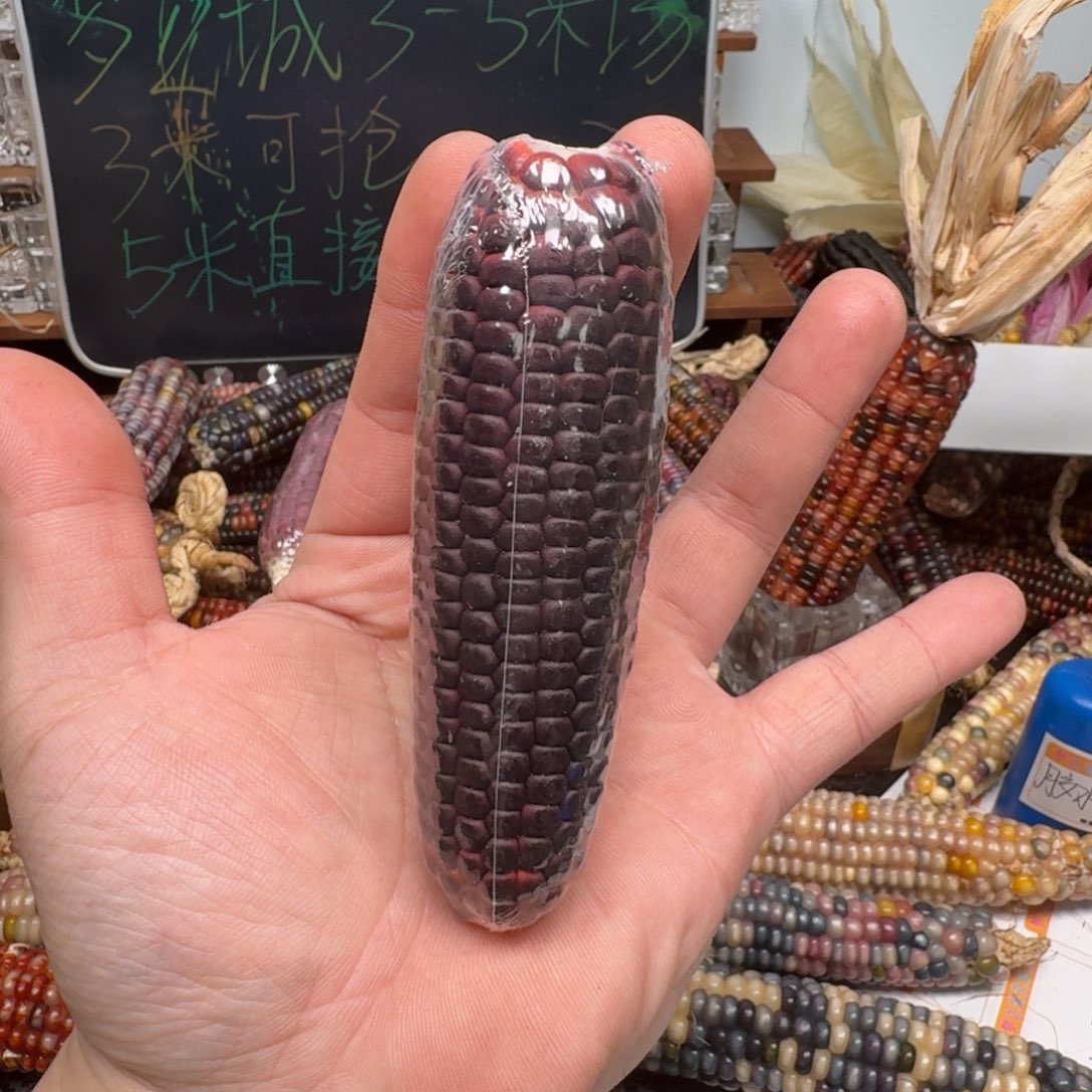 柏香籽/百香籽吊坠卡*哒