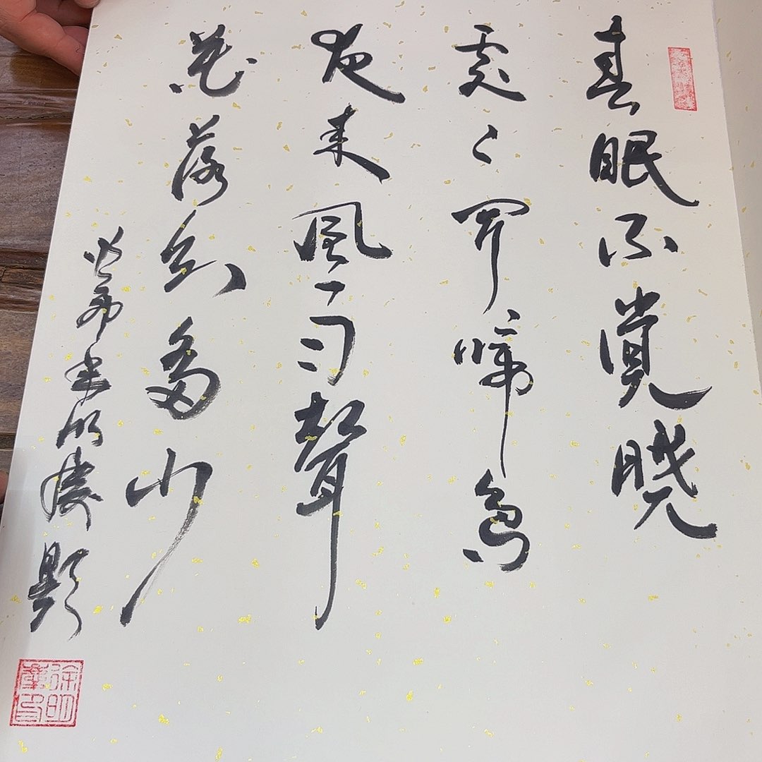 国画M>国画预展封存作品专用