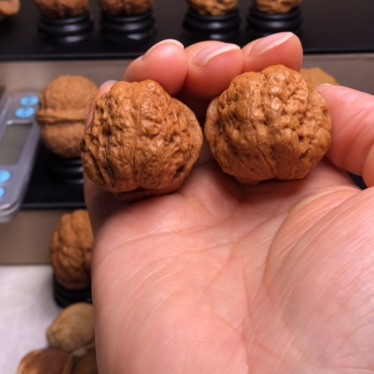 文玩核桃把件荷叶金蟾29