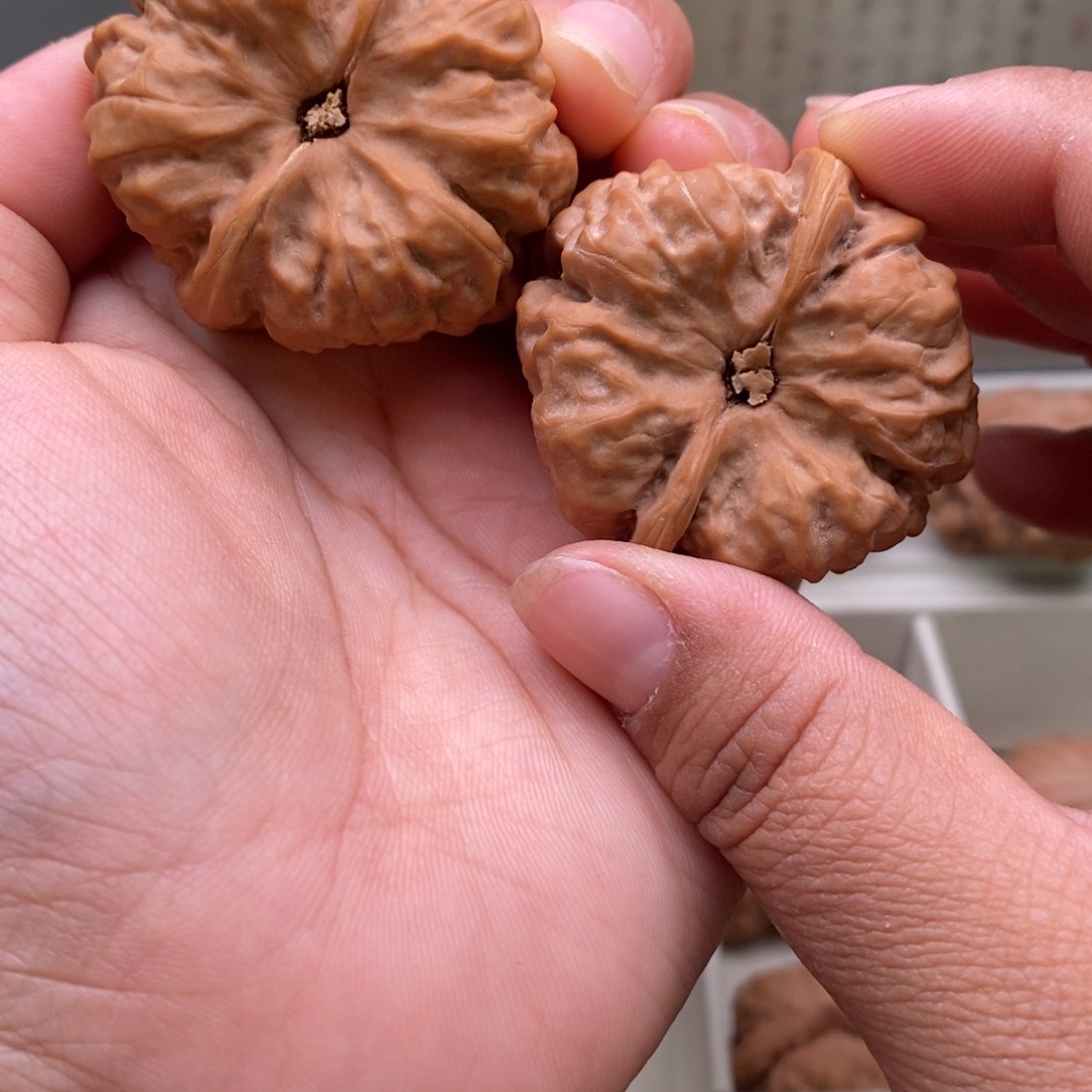 文玩核桃把件39边42肚75