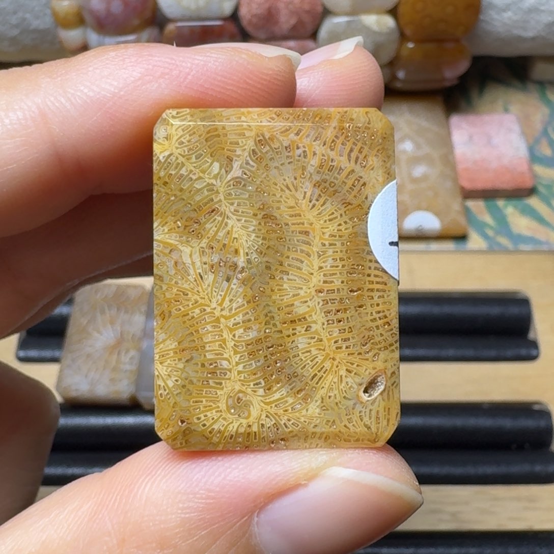 硅化玉有1个孔雀羽毛未镶嵌