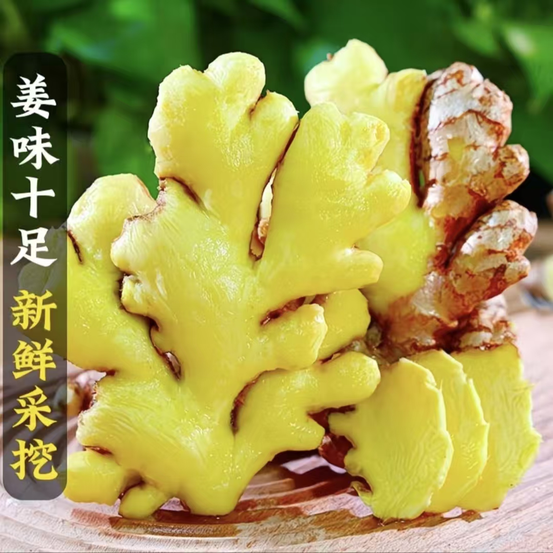 2025年正宗云南小黄姜当年当季新鲜现挖辛辣农家自种嫩姜