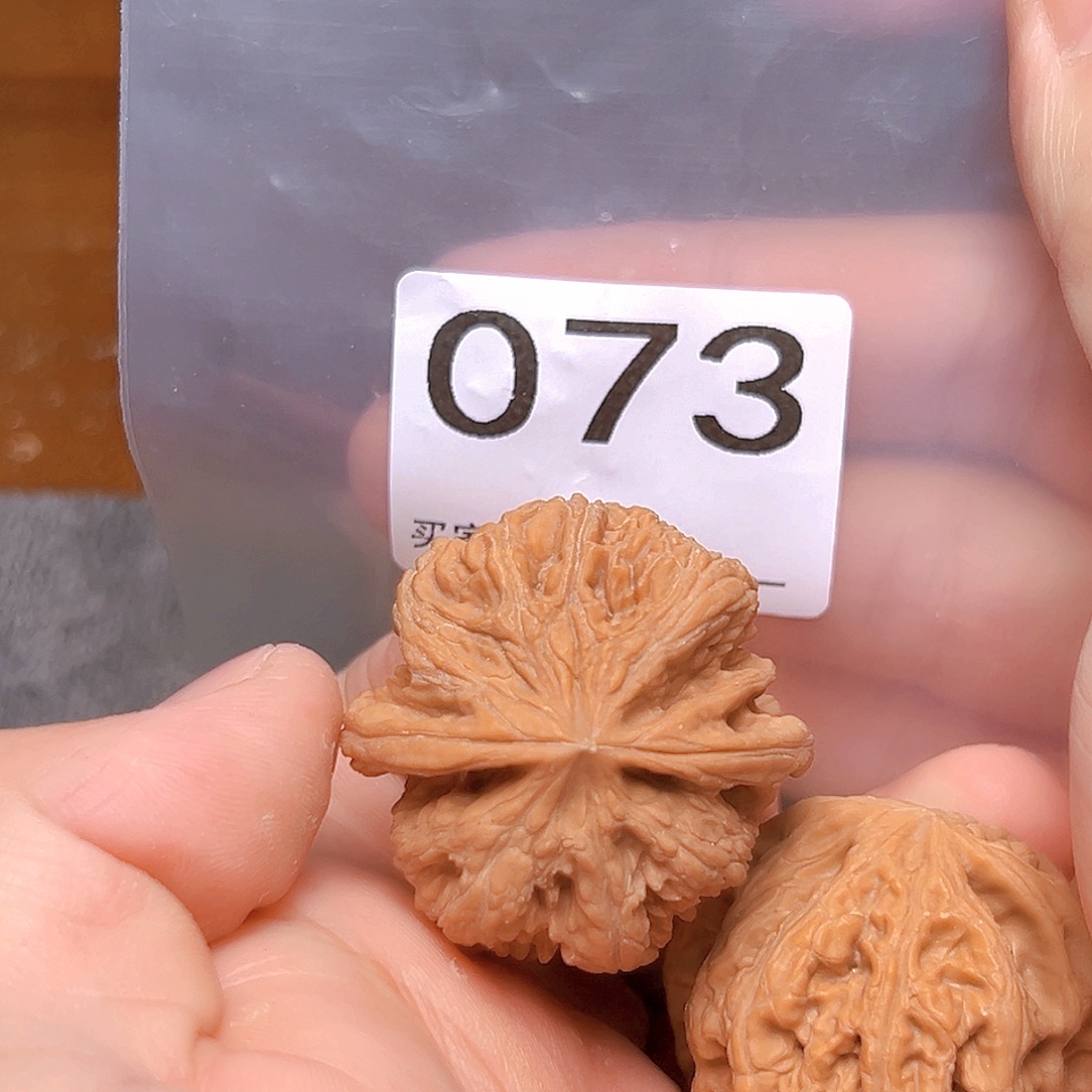 文玩核桃吊坠38粗筋