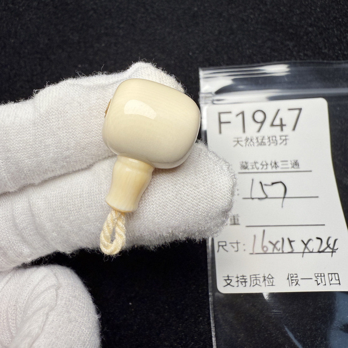 F1947天然猛犸象牙藏式分体三通胖墩分体冰料果冻料16*15*24mm