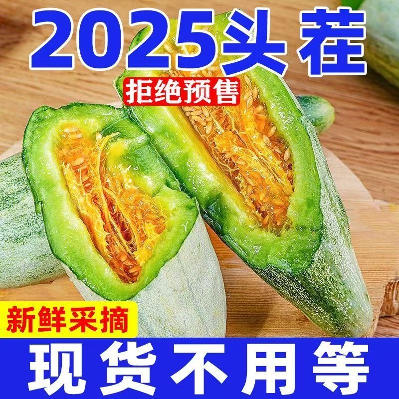 头茬羊角蜜山东新鲜现摘脆甜多汁甜瓜当季水果蜜瓜香瓜整箱批发