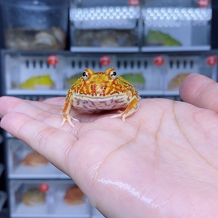 特价秒杀现货特价