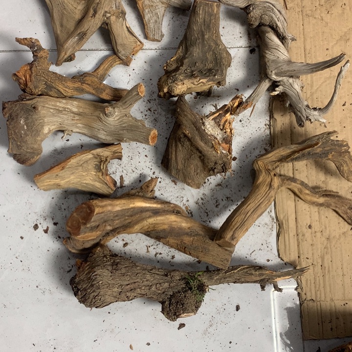 培***工无花朵今天晚上在学校吃饭