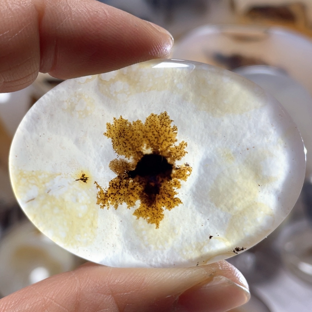 【闪购商品】玛瑙/玉髓颈饰合金