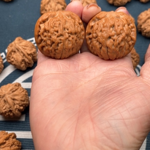 橄榄核手串/手链觉*莲花全品