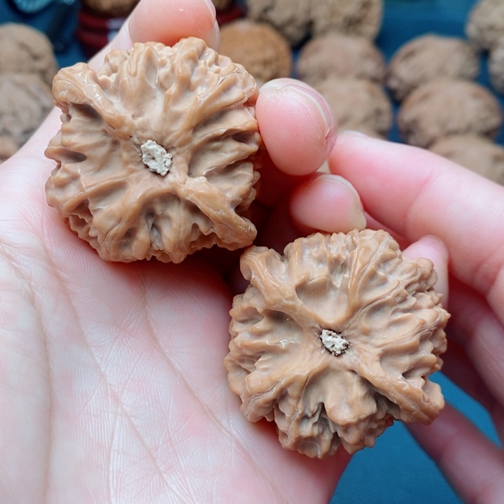 文玩核桃把件41苹果园