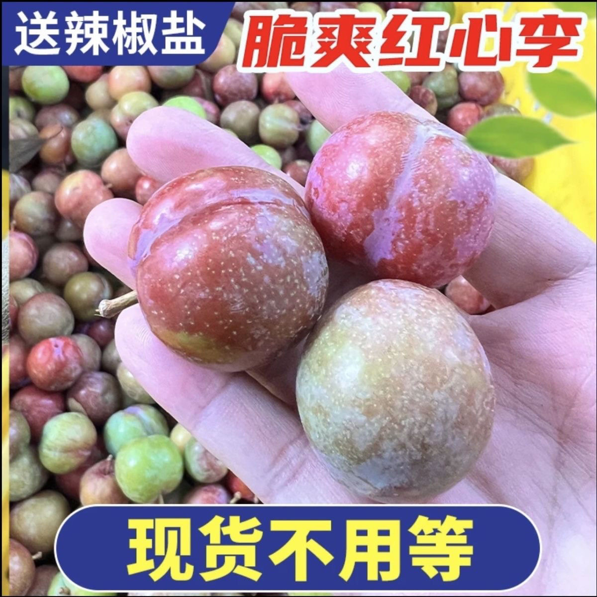 钱排红心李三华李酸脆爽孕妇水果新鲜采摘当季李子纯酸脆口