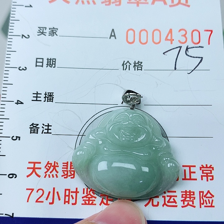 翡翠颈饰银S925镶嵌翡翠