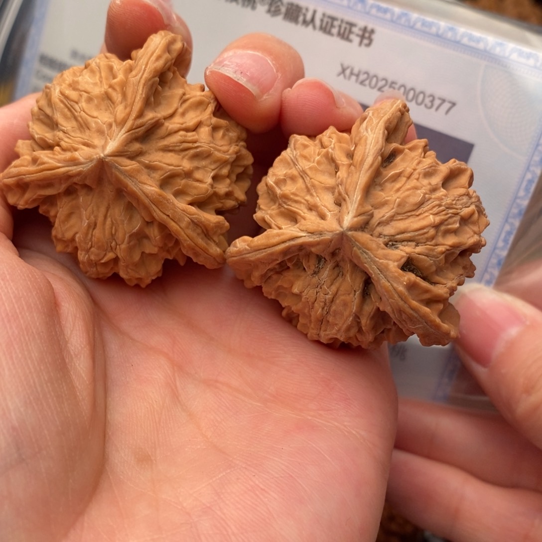 文玩核桃把件盘山奔41