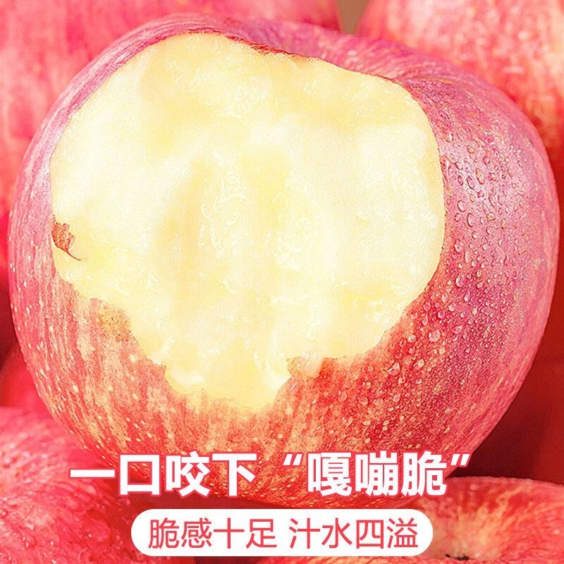 SL红富士苹果现摘新鲜脆甜多汁冰糖心产地直发包邮