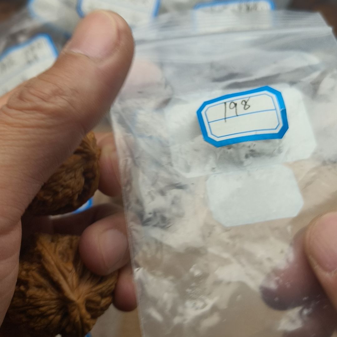 文玩核桃把件黄金甲