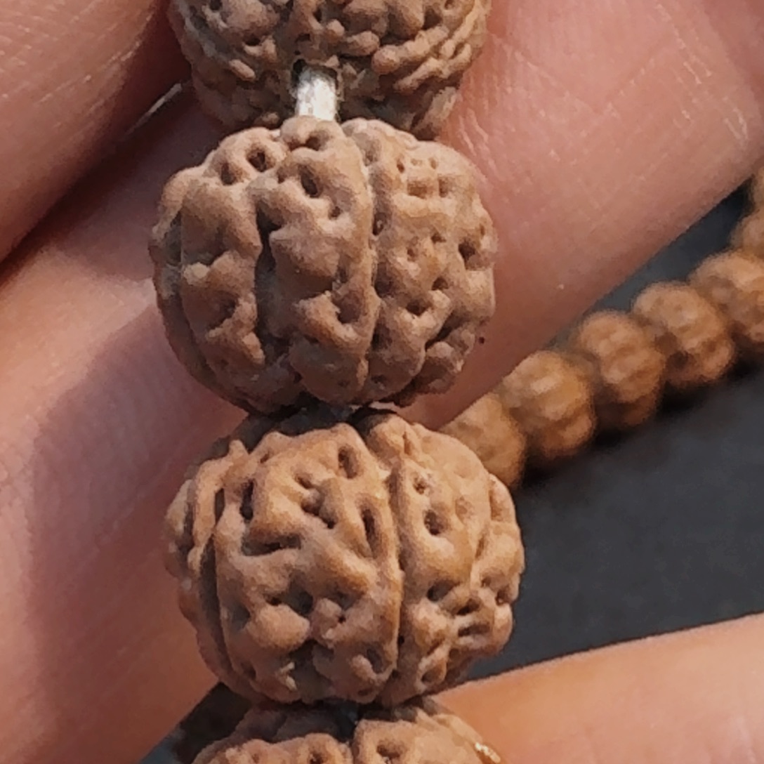 金刚菩提吊坠老树王新籽福利12