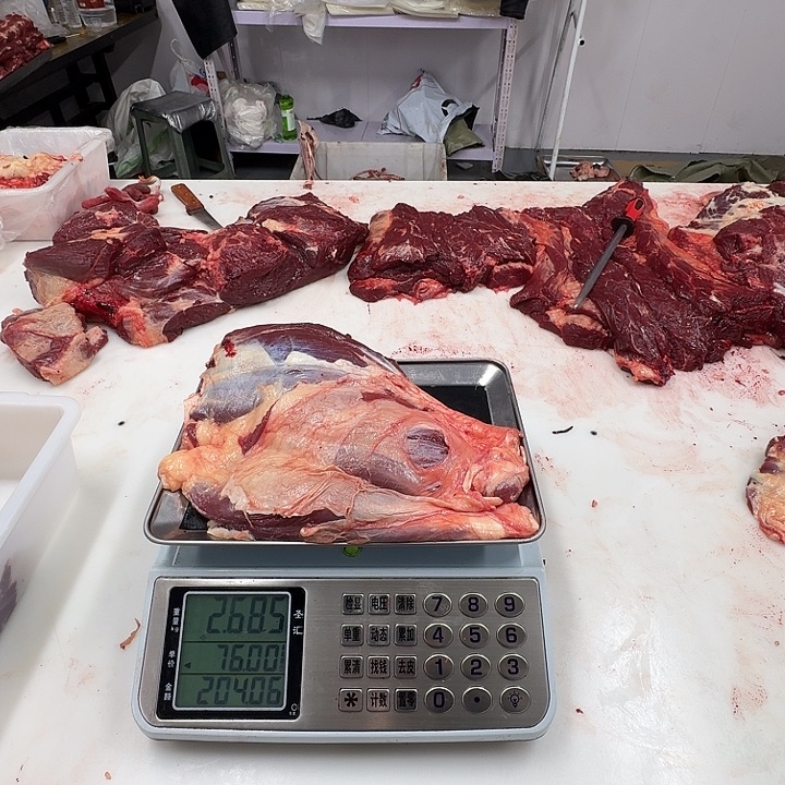 一***K12个月中国大陆马腱子