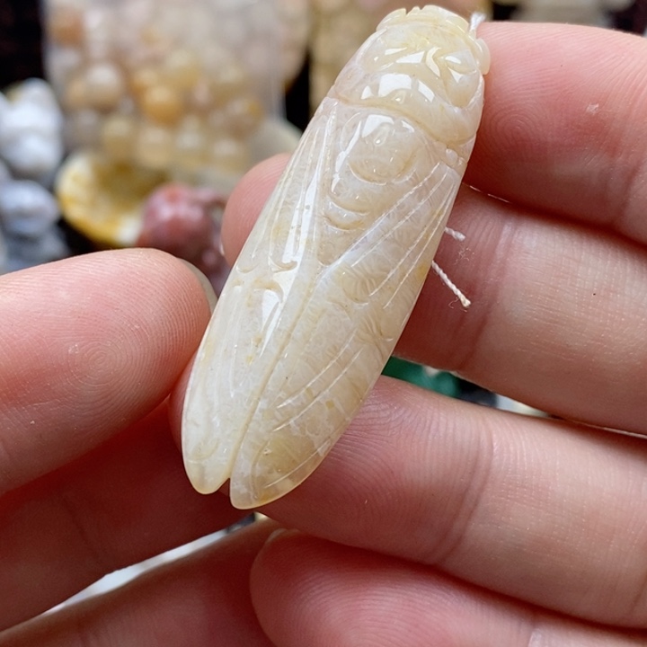 硅化珊瑚（珊瑚玉）颈饰未镶嵌