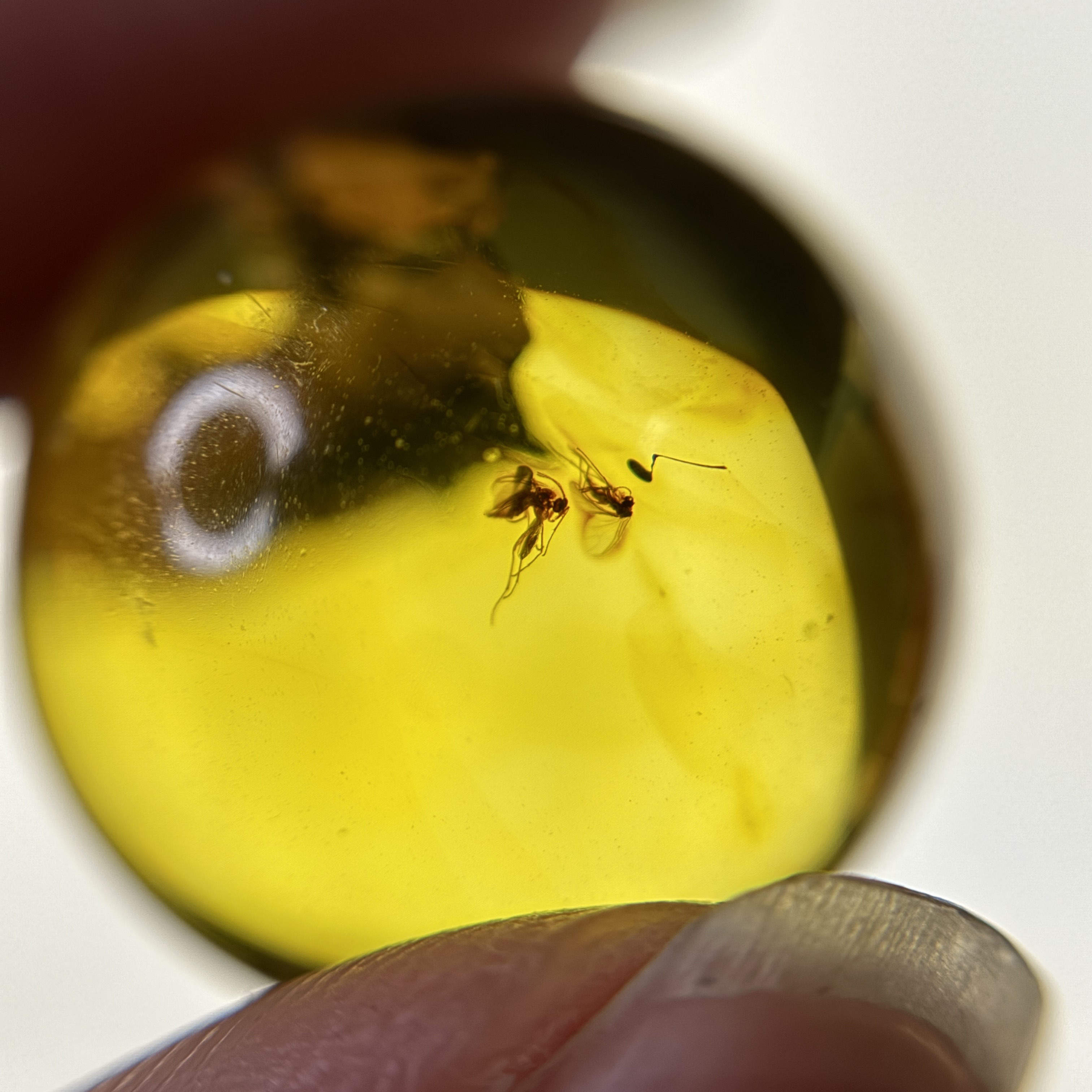 天然原矿琥珀虫珀圆珠腰珠顶珠念珠手串文玩配饰星月17.8mm