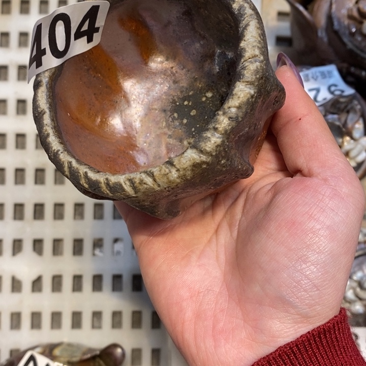 杯柴烧肉等特色菜谱