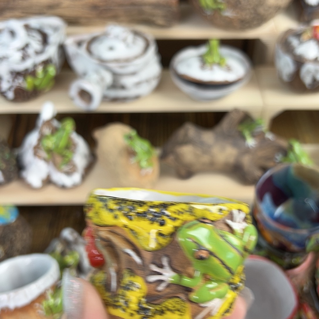 闪购久久家的瓷器