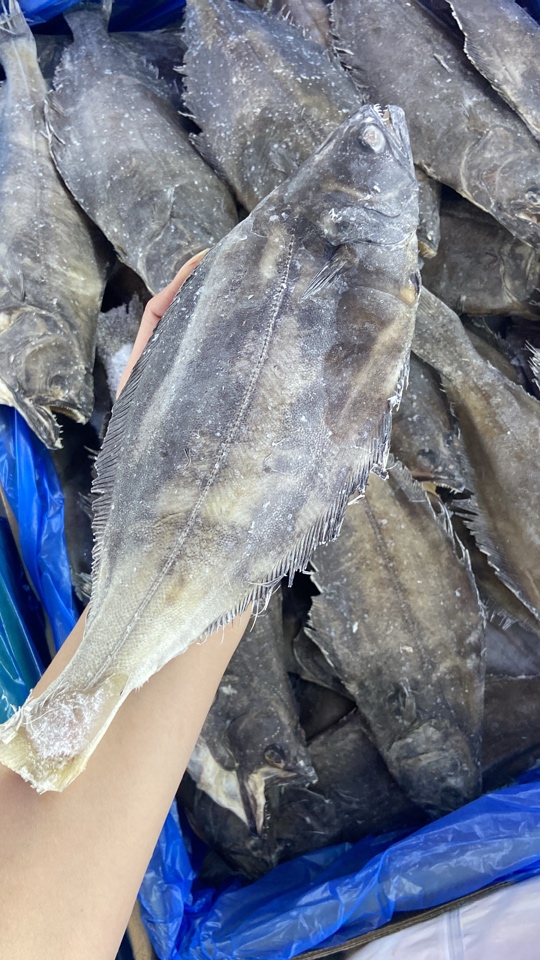 格陵兰深海比目鱼 鸦片鱼小鲽鱼6-8两/条，6条装