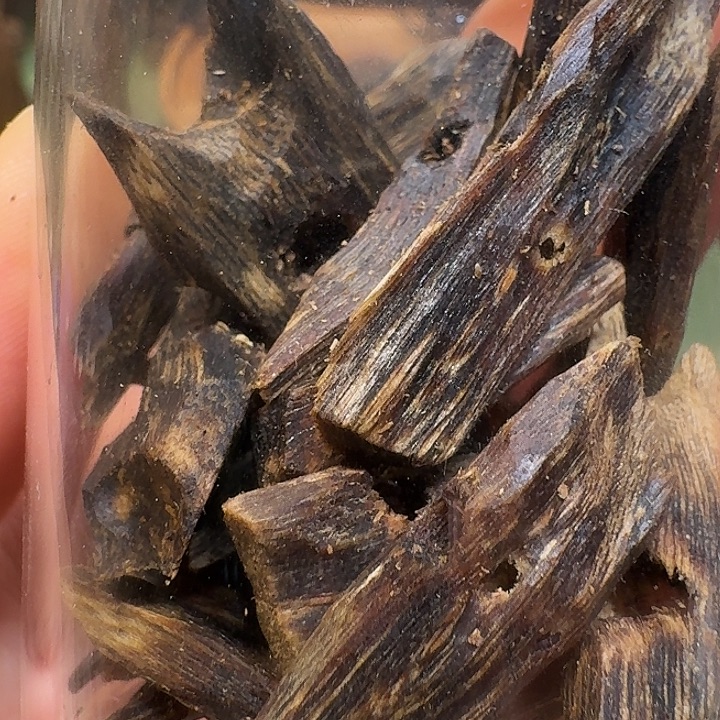 沉香沉香碎屑海南老棋楠紫罗兰树心油老料20克