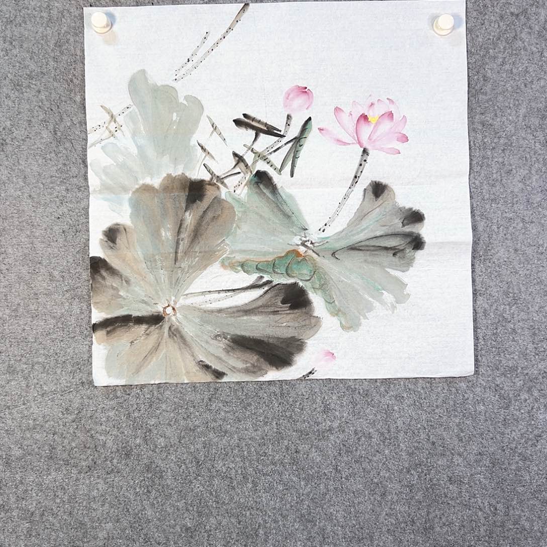 国画705 花鸟在树丛的顶端鸣叫叫声