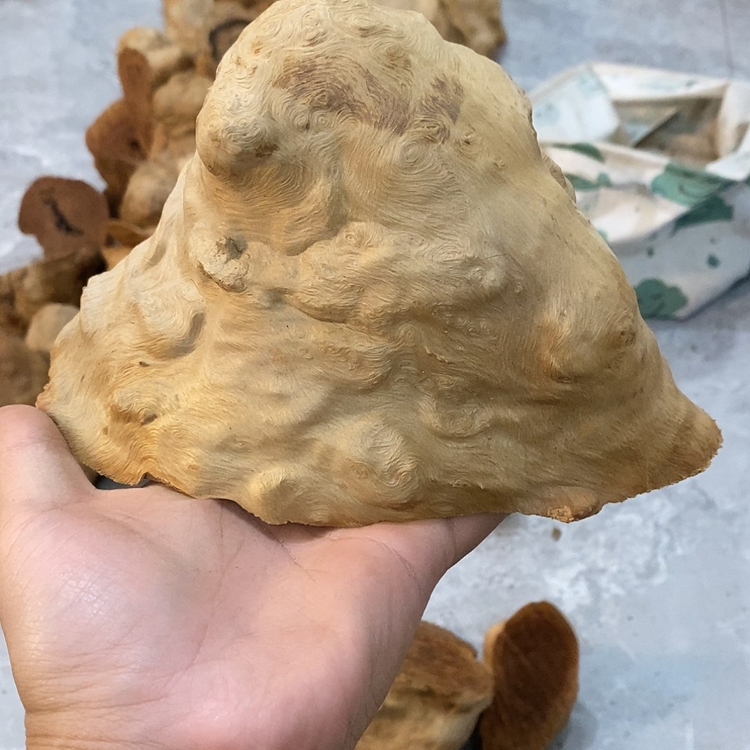 3***治荔枝木荔枝木原料