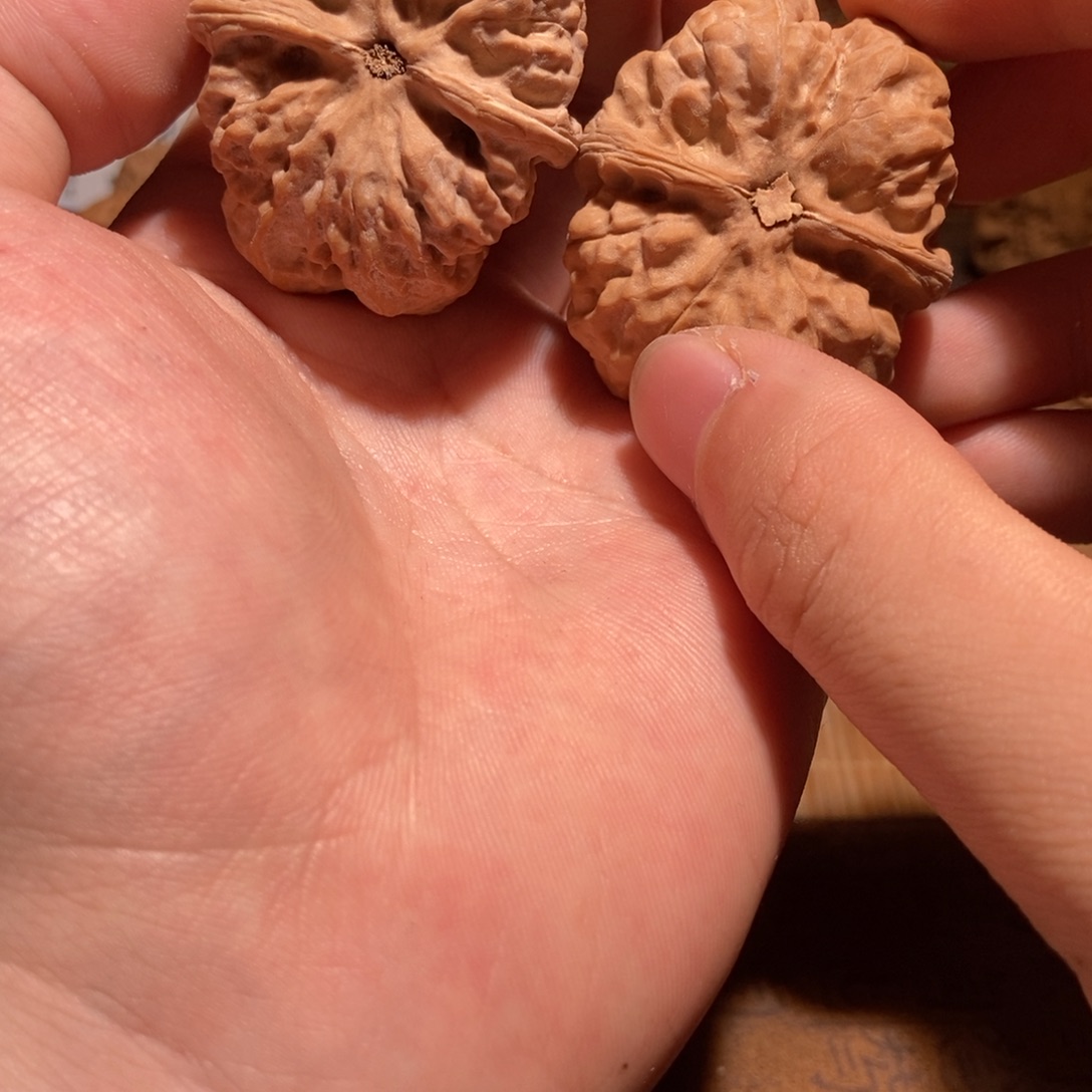 灿***猫吊坠文玩核桃蛤蟆头D16