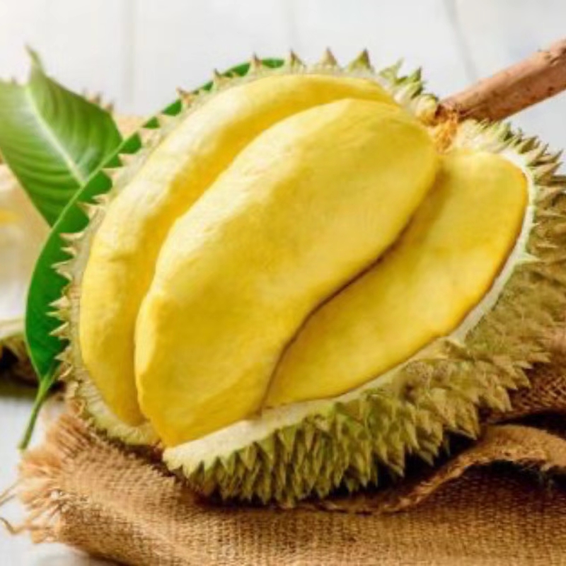 新鲜金枕榴莲核小一物一拍2-4斤金枕泰国
