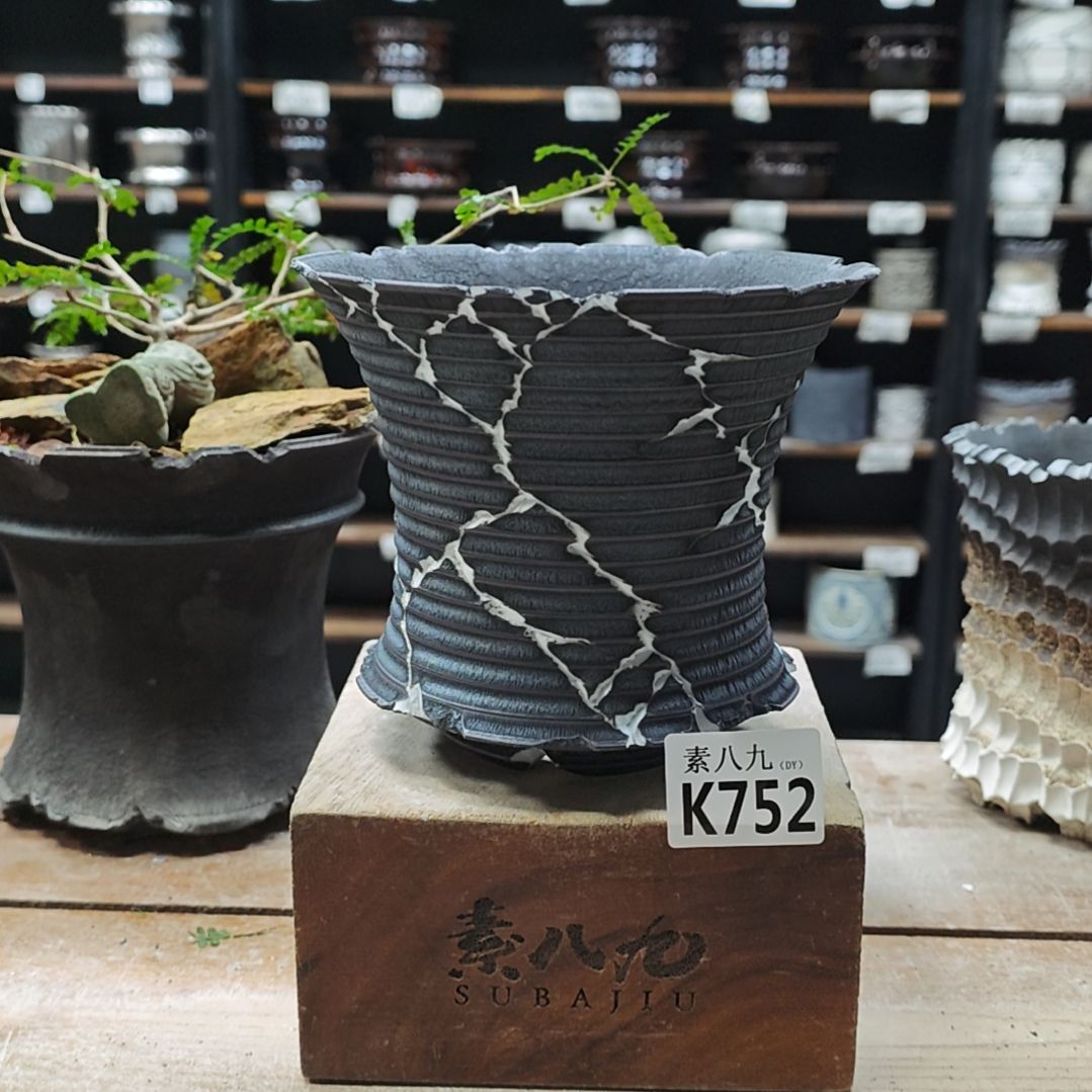 陶瓷素八九陶瓷内口15.5高13.5