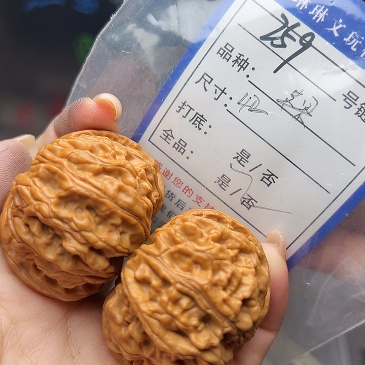 文玩核桃吊坠核桃树259