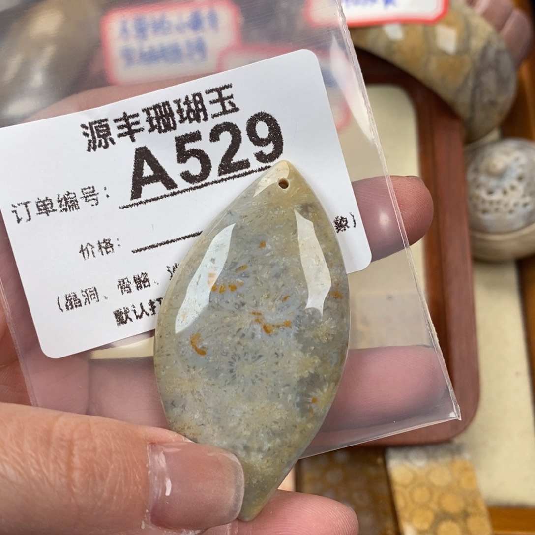硅化玉颈饰未镶嵌Z*
