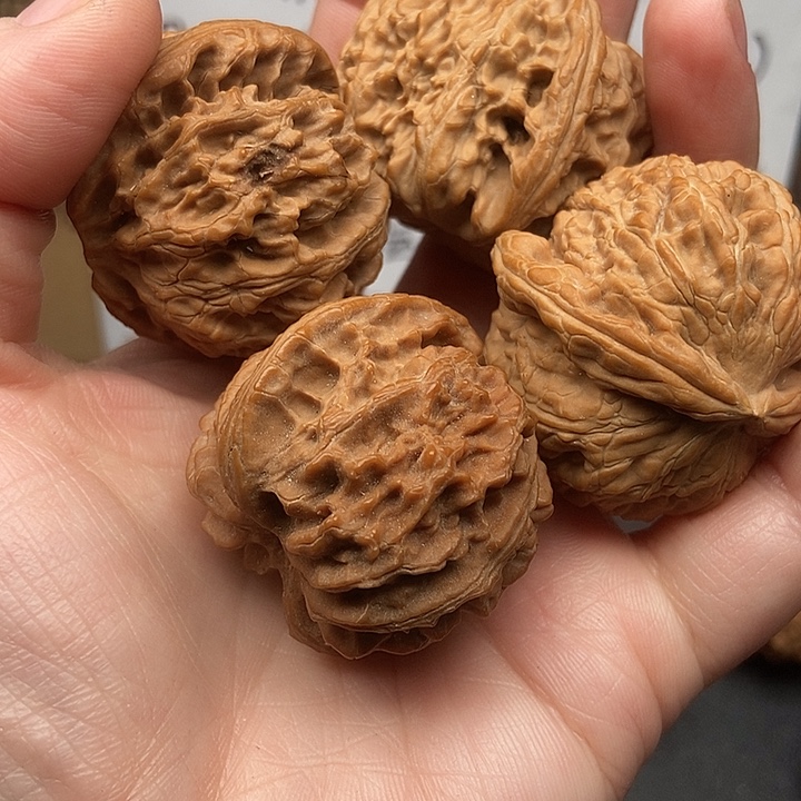 山***。大大大大大苹果狮子黄