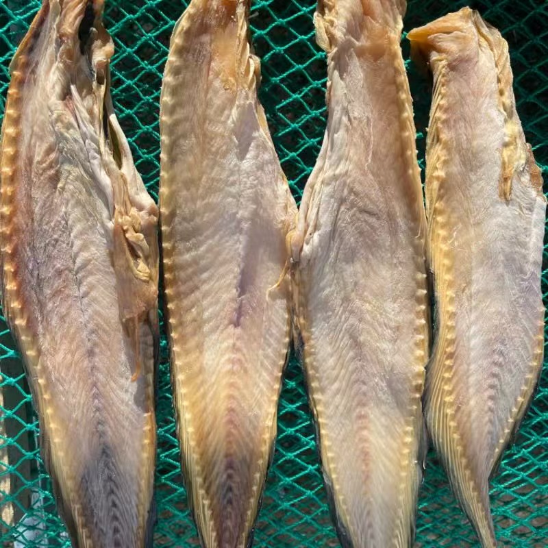 青岛当地淡干海兔子鱼干7成干（3斤装5~7条） 顺丰包邮